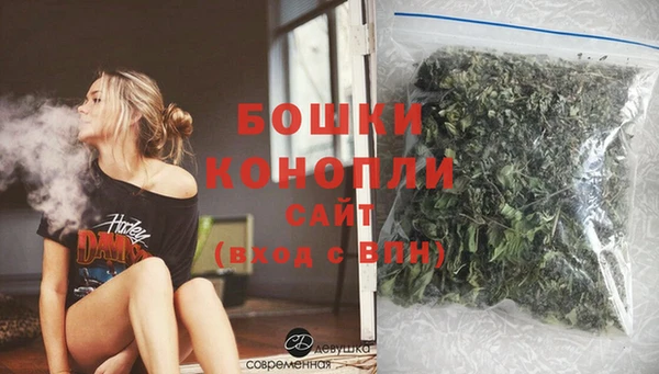 ПСИЛОЦИБИНОВЫЕ ГРИБЫ Няндома