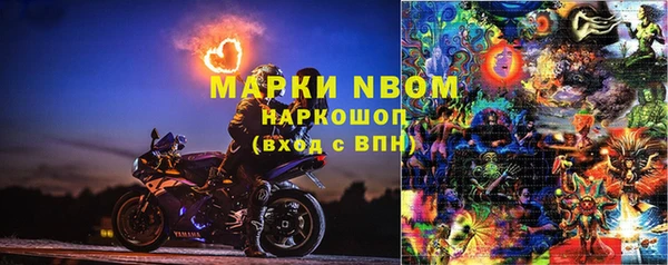 ПСИЛОЦИБИНОВЫЕ ГРИБЫ Няндома