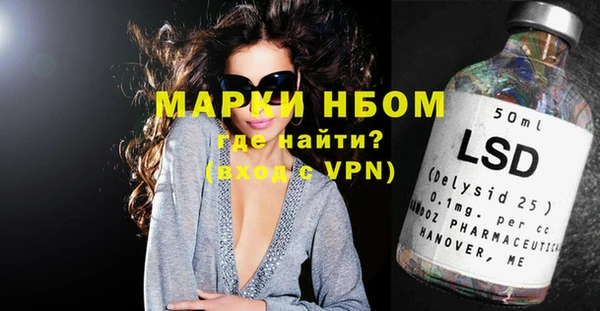 ПСИЛОЦИБИНОВЫЕ ГРИБЫ Няндома