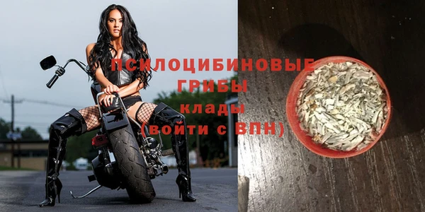 ПСИЛОЦИБИНОВЫЕ ГРИБЫ Няндома